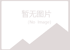 城子河区山柏司法有限公司